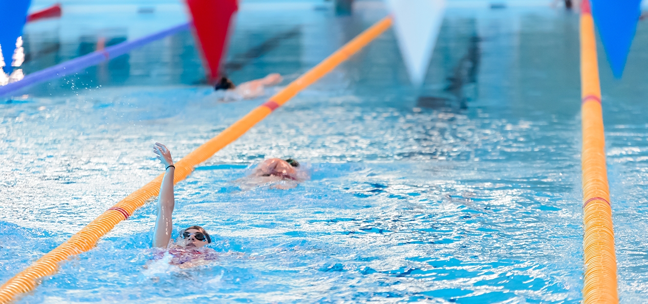 A lane swimming session in a public swimming pool