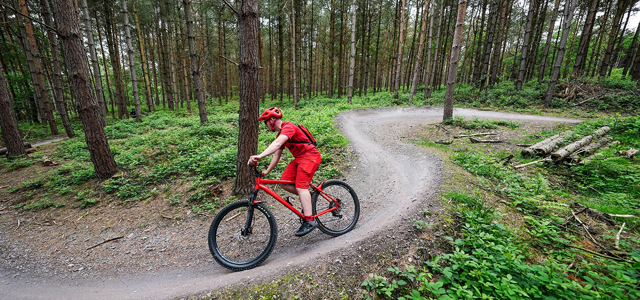 A member of the public uses the trails at Cannock Chase Forest - mountain bike venue of the Birmingham 2022 Commonwealth Games