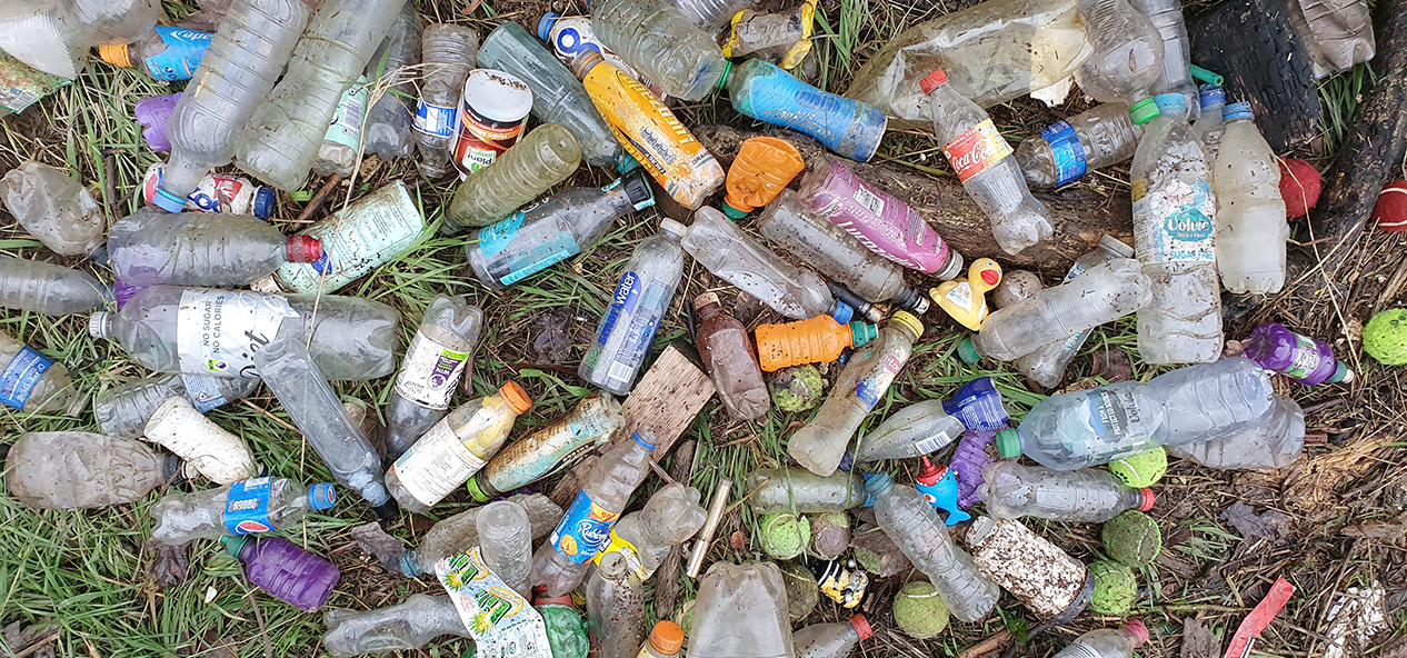 Litter in a forest - photo credit: Trach Free Trails