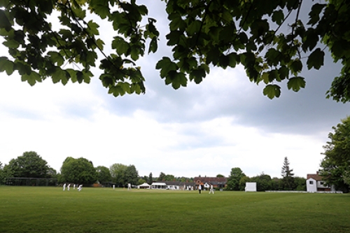 A far-away view of an outdoors cricket pitch from under some trees on the side of the playing area.