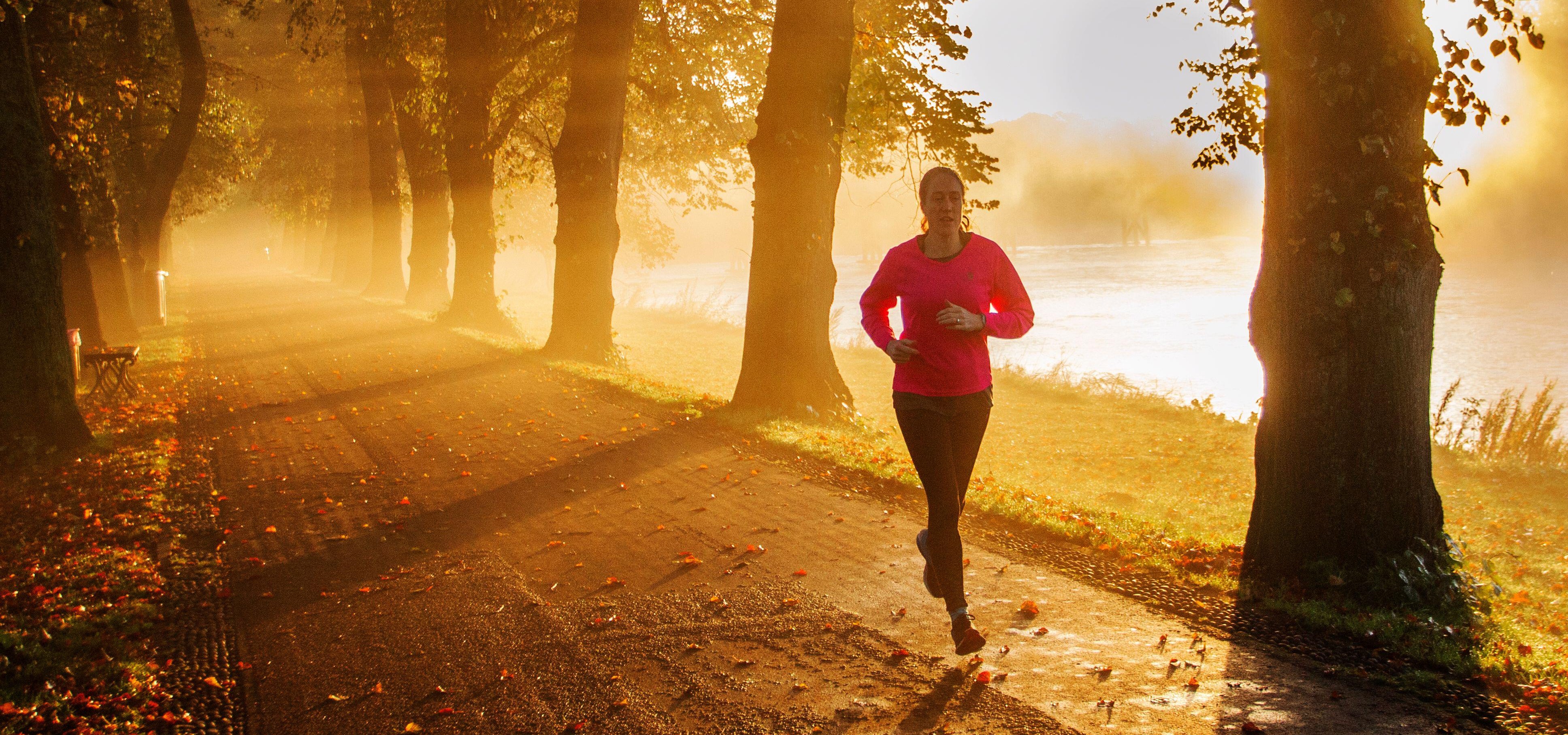 Autumn sunlight streams through trees as a female jogs along a path by a lake.