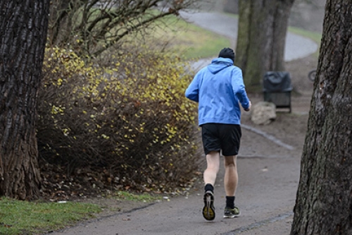 A jogger runs in the park