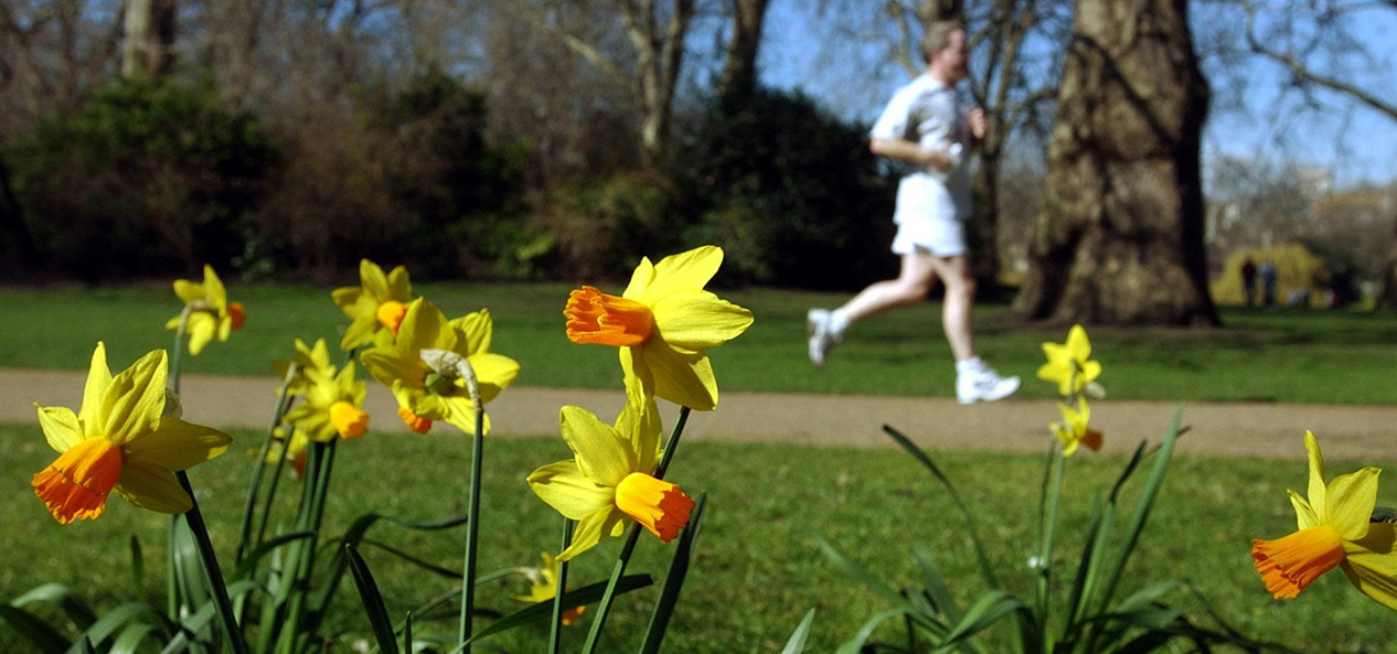 A man running in the park