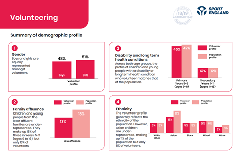 graphs showing amount of volunteers in different demographics